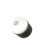 Lampe EcoFlow Akku